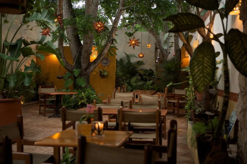 아파트 Guidos Boutique Hotel 코수멜 멕시코