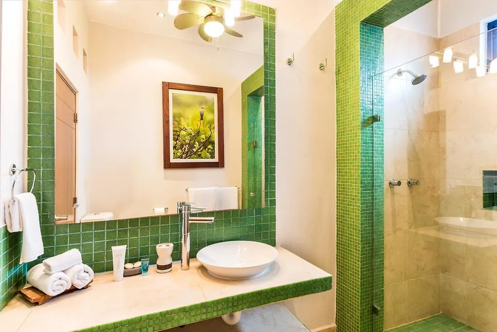 Guidos Boutique Hotel 코수멜 0*,